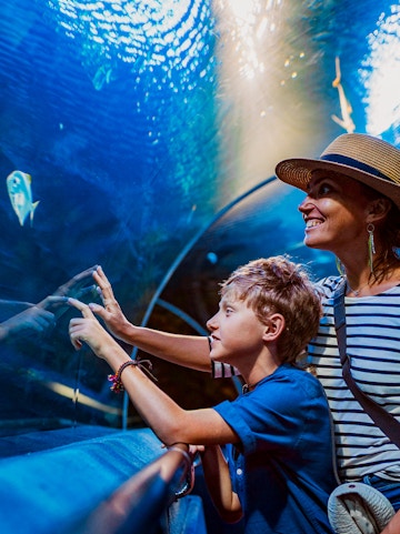 Visitors observing fish in an aquarium tunnel at a city zoo.