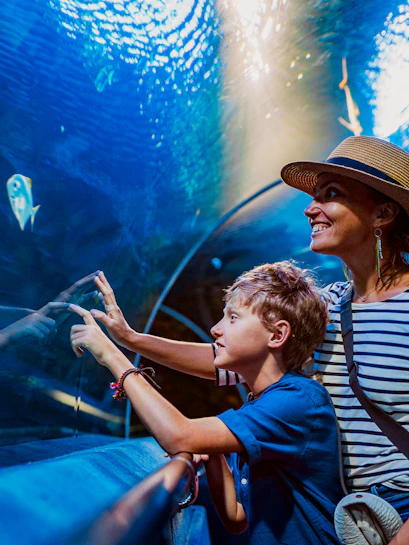 Visitors observing fish in an aquarium tunnel at a city zoo.