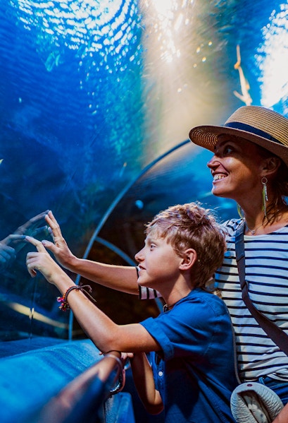 Visitors observing fish in an aquarium tunnel at a city zoo.