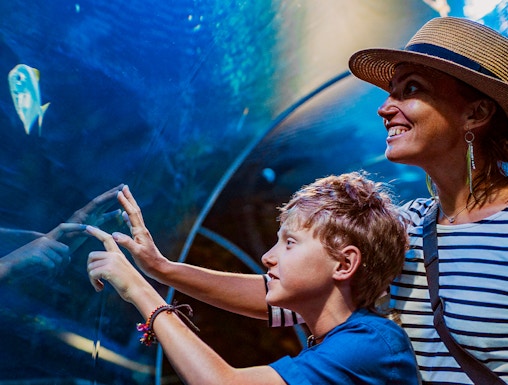 Visitors observing fish in an aquarium tunnel at a city zoo.