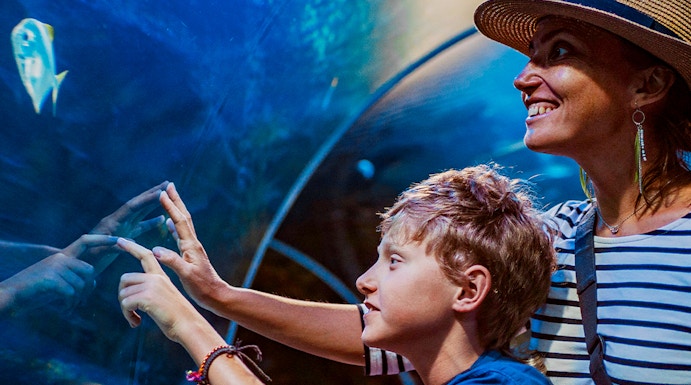 Visitors observing fish in an aquarium tunnel at a city zoo.