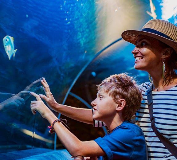 Visitors observing fish in an aquarium tunnel at a city zoo.