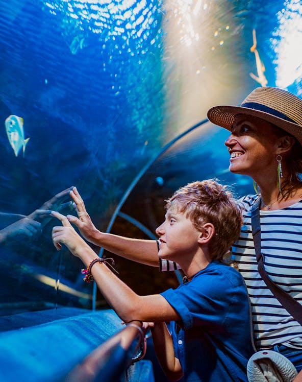 Visitors observing fish in an aquarium tunnel at a city zoo.