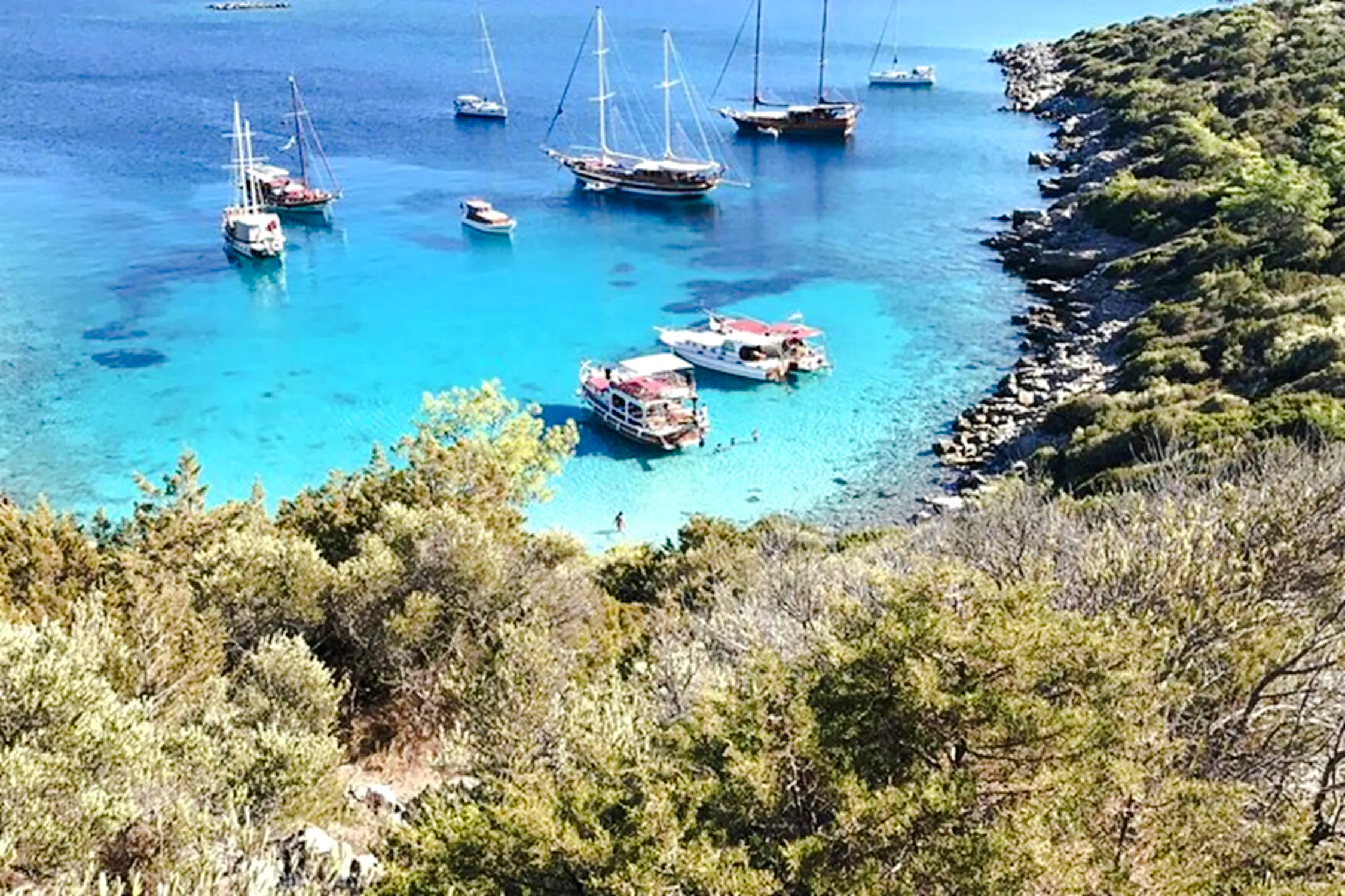 From Bodrum: Orak Island Boat Tour with Lunch and Hotel Transfers Image 12