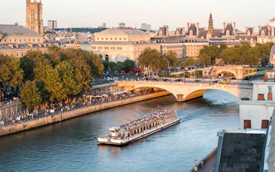 Seine River cruise boat passing under a bridge in Paris with cityscape view.