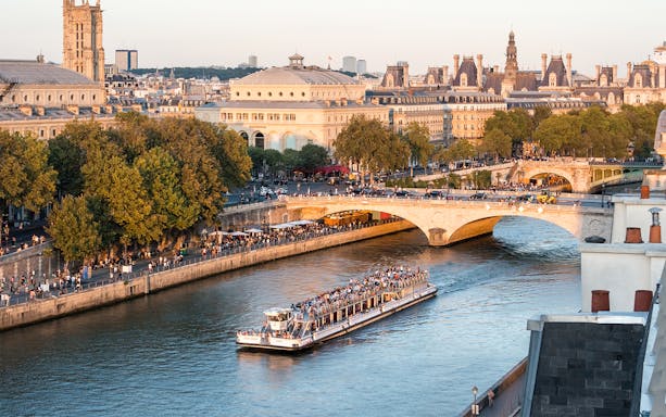 Seine River cruise boat passing under a bridge in Paris with cityscape view.