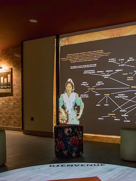Flamenco history display with flowchart and historical figure in a museum setting.