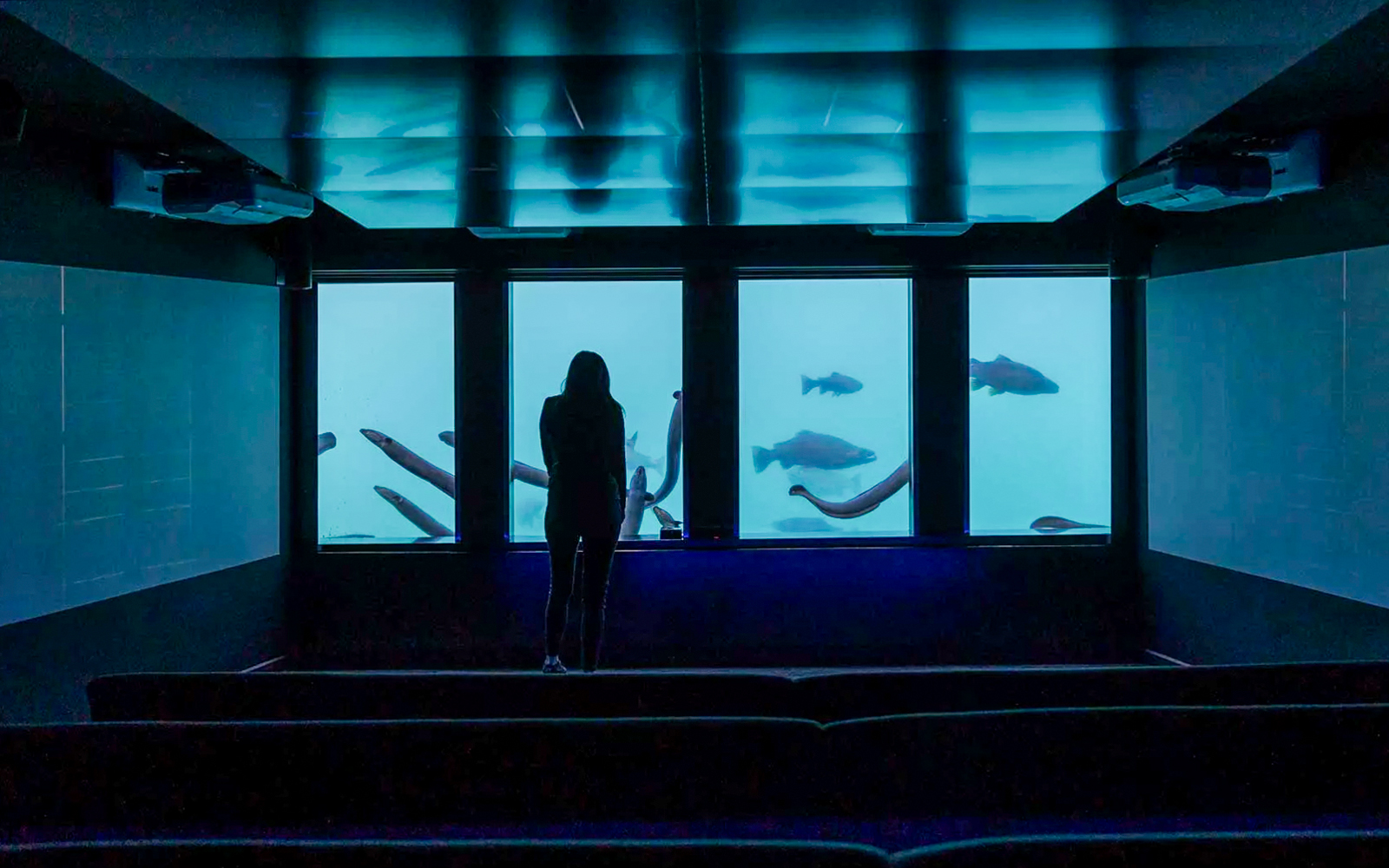 Woman observing fish through aquarium window.