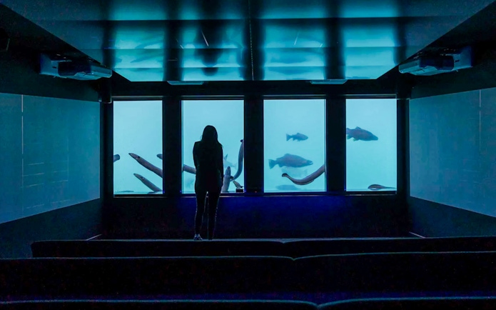 Woman observing fish through aquarium window.