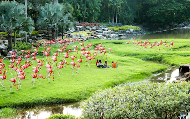 Flamingo sculptures and visitors at Nong Nooch Tropical Garden, Thailand.