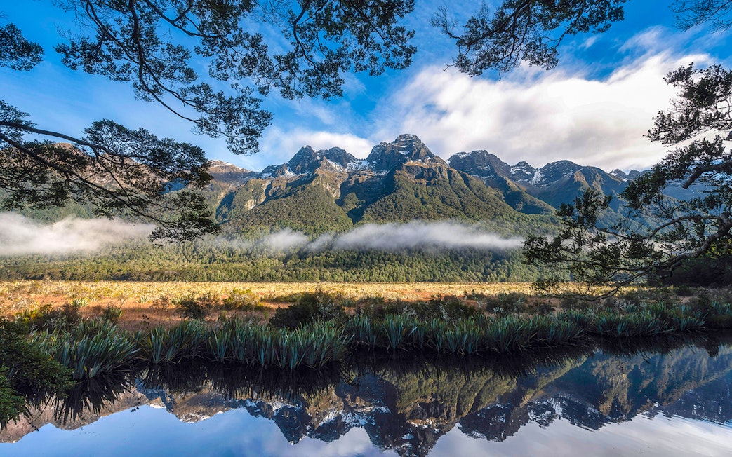 Milford Sound mountains and forest reflected in water under a blue sky, New Zealand.