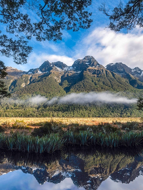 Milford Sound mountains and forest reflected in water under a blue sky, New Zealand.