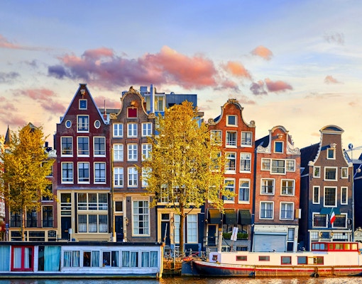 HOHO tours in Amsterdam