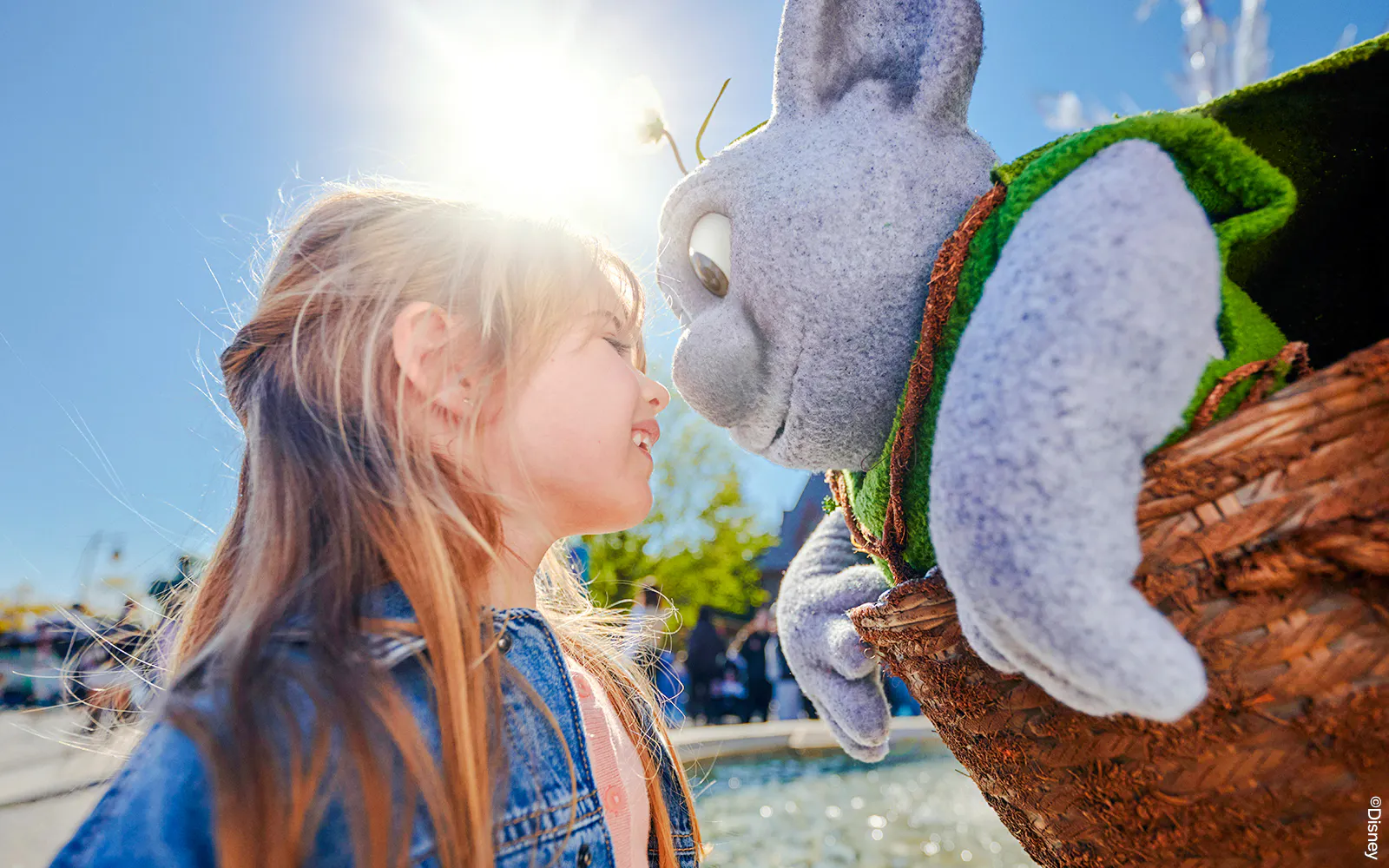 disneyland® paris entry tickets with round-trip shuttle from central paris-9