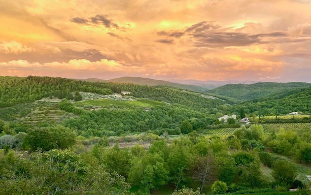 Chianti countryside at sunset with vineyards and rolling hills, Italy.