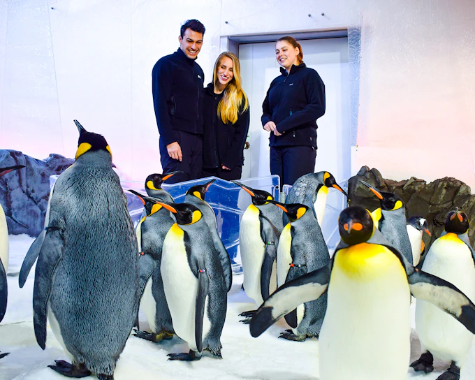 Penguin Passport Tickets: Guided Encounter at SEA LIFE Melbourne Aquarium
