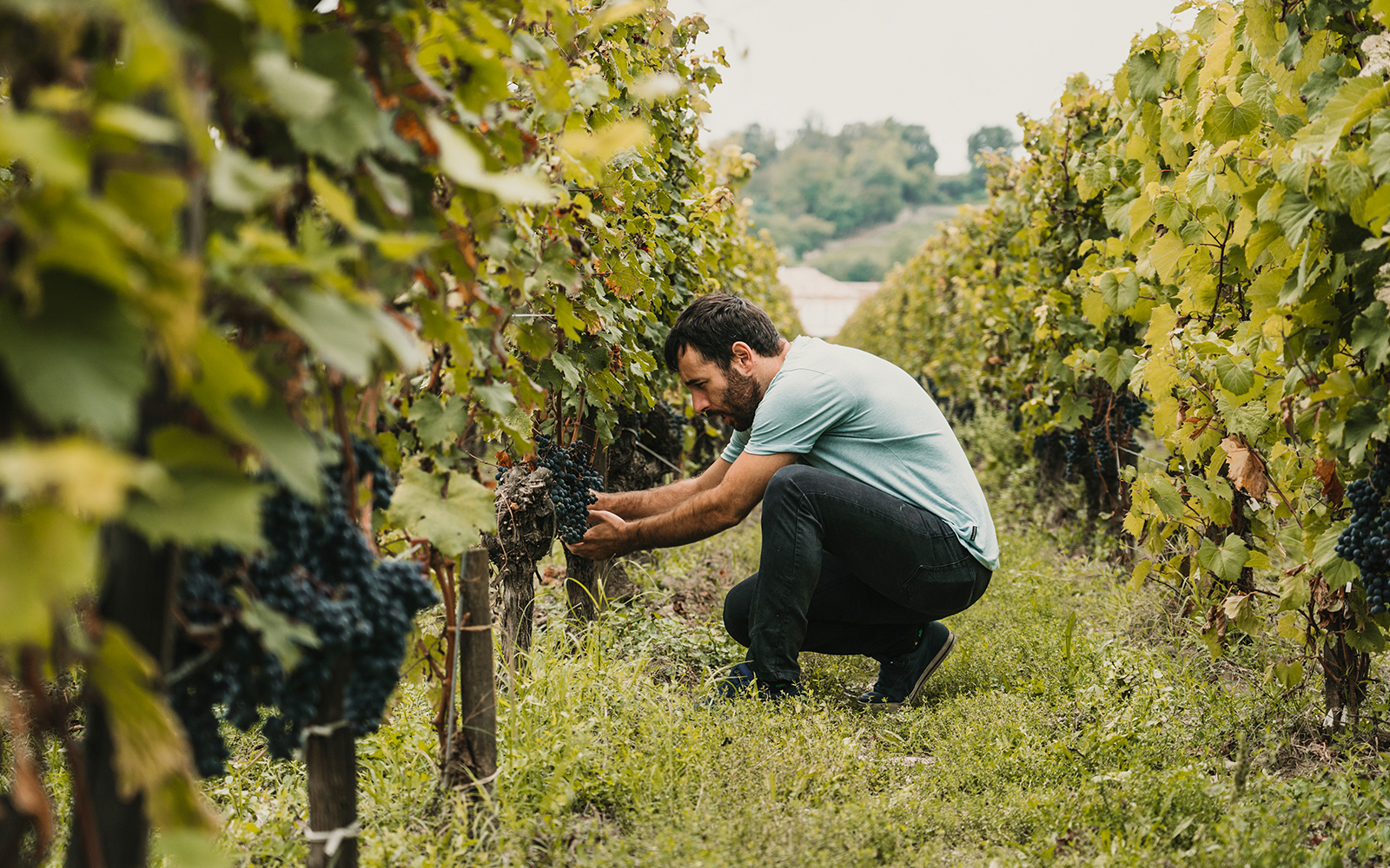 Cite Du Vin Exhibition Winegrowers & Terriers