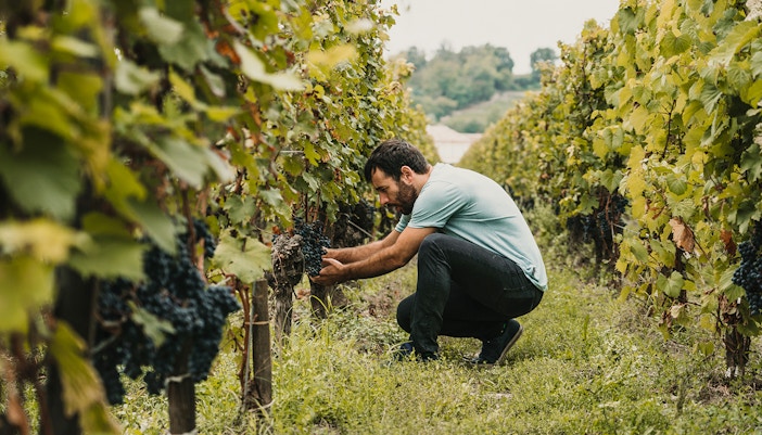 Cite Du Vin Exhibition Winegrowers & Terriers