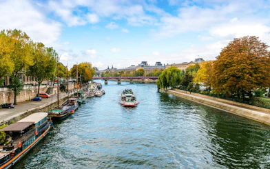 Seine River cruise boat passing under a bridge in Paris, with trees and historic buildings along the riverbank.