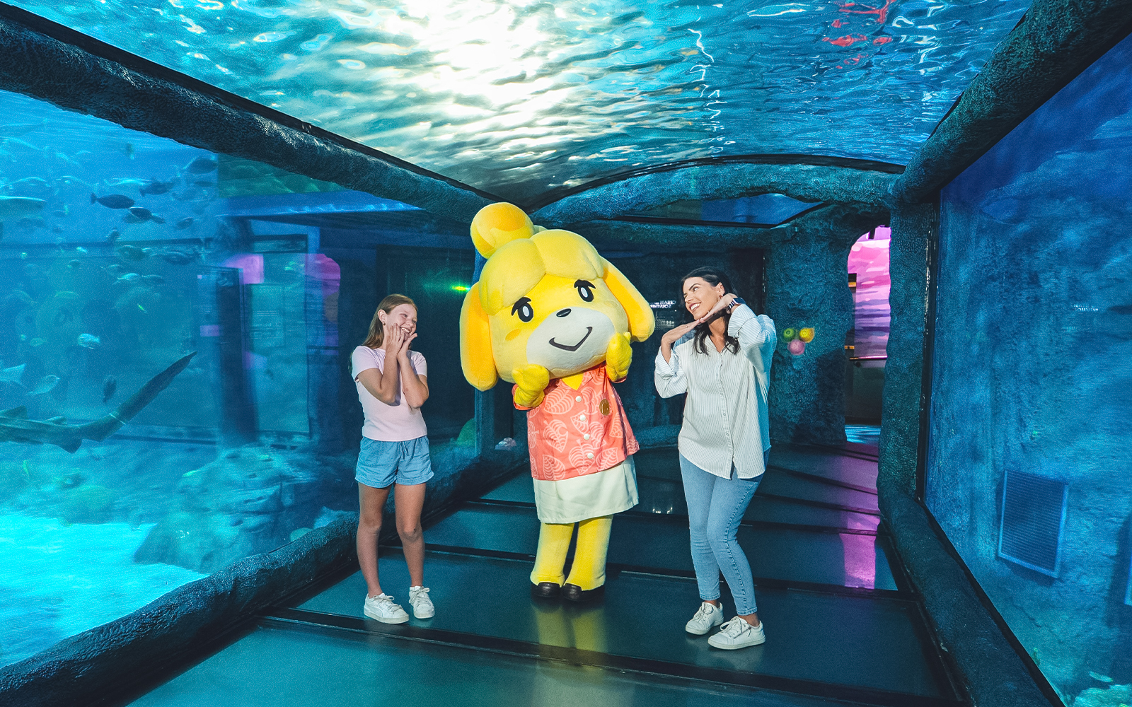 Sea Life Sydney Aquarium: Entradas
