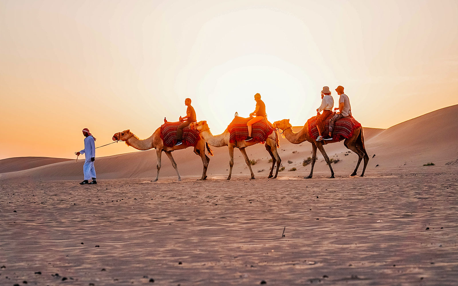 Evening camel ride ,Desert Safari, Abu Dhabi