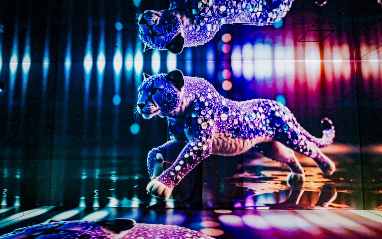 Leopard light display at MIRACLEWORLD Osaka with vibrant colors and reflections.