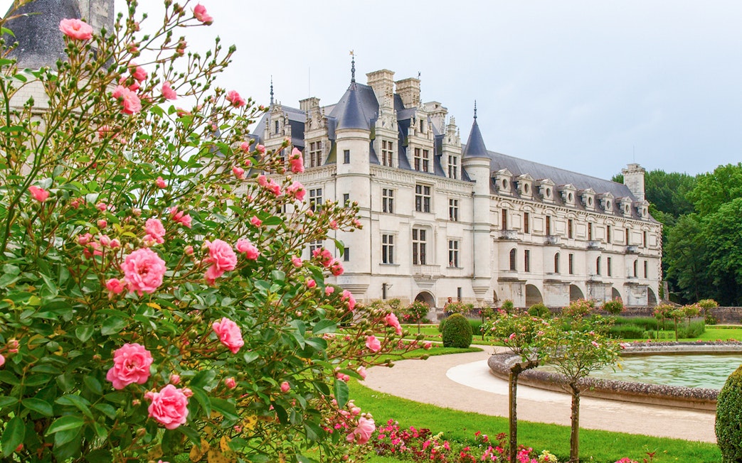 Chenonceau Castle with gardens and pink roses in Loire Valley, France.