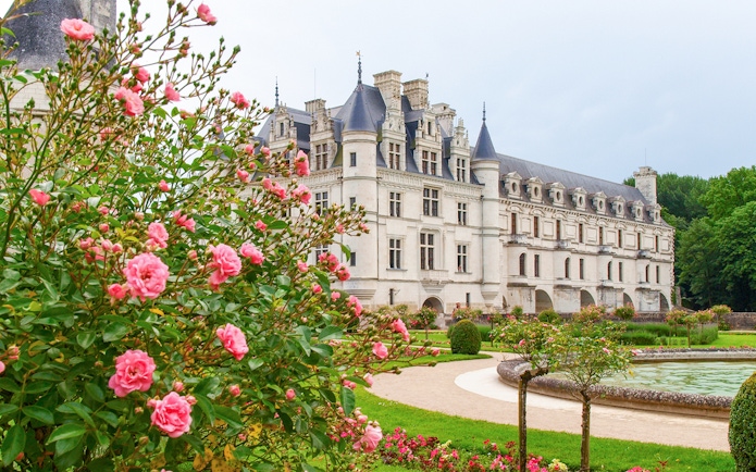 Chenonceau Castle with gardens and pink roses in Loire Valley, France.