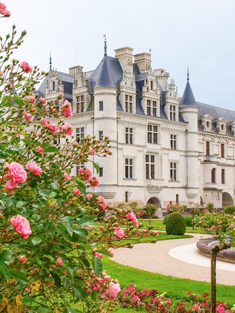 Chenonceau Castle with gardens and pink roses in Loire Valley, France.