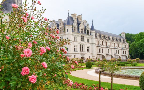 Chenonceau Castle with gardens and pink roses in Loire Valley, France.
