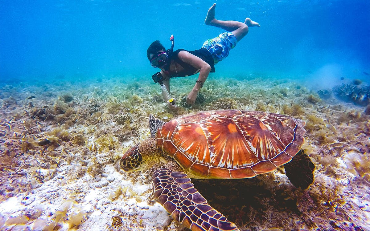 tickets to perdana quay eco marine park-2 tickets to perdana quay eco marine park-2