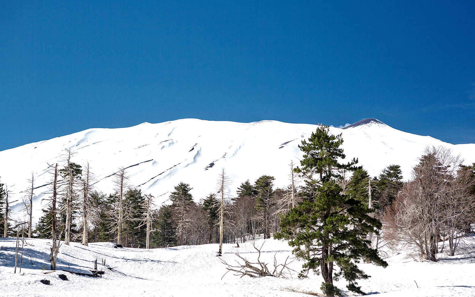Skiers descending snowy slopes of Mount Etna, Sicily, with volcanic landscape in the background.