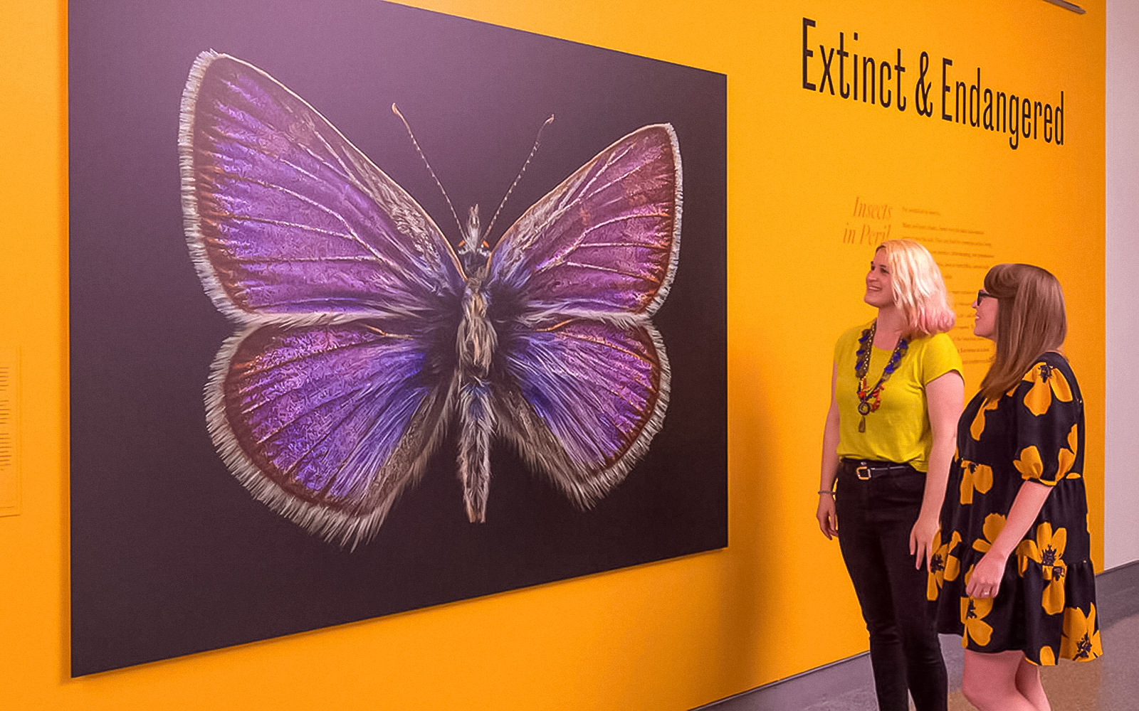 Extinct and Endangered in American Museum of Natural History