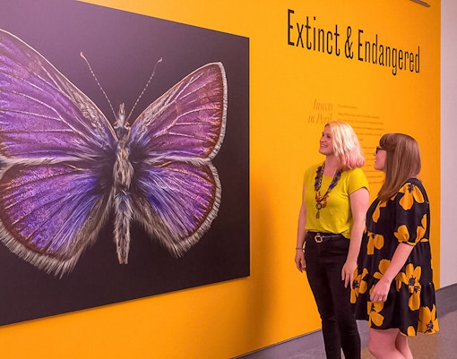 Extinct and Endangered in American Museum of Natural History