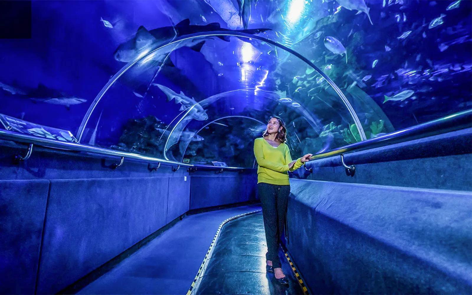 Aquaria – KLCC Park