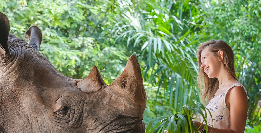 Zoo aperto di Khao Kheow