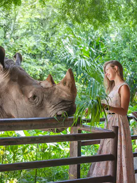 Otwarte Zoo w Khao Kheow