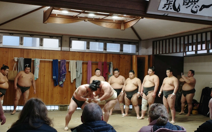 Sumo wrestlers practicing in a dojo during the Premium Professional Sumo Morning Practice in Asakusa.