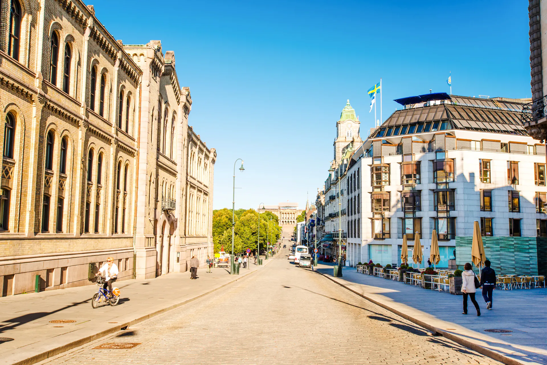 Oslo Old Town Private Walking Tour and Fjord Cruise Tickets