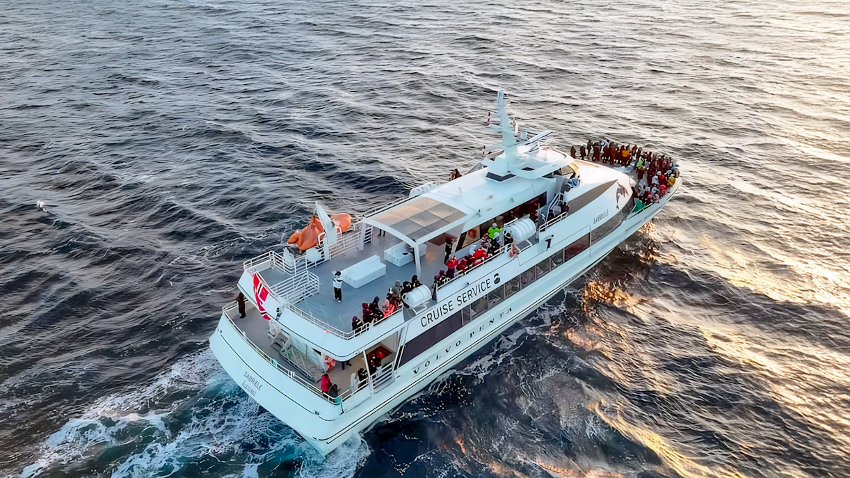 Motor catamaran on whale watching tour from Tromso, Norway, with passengers on deck.
