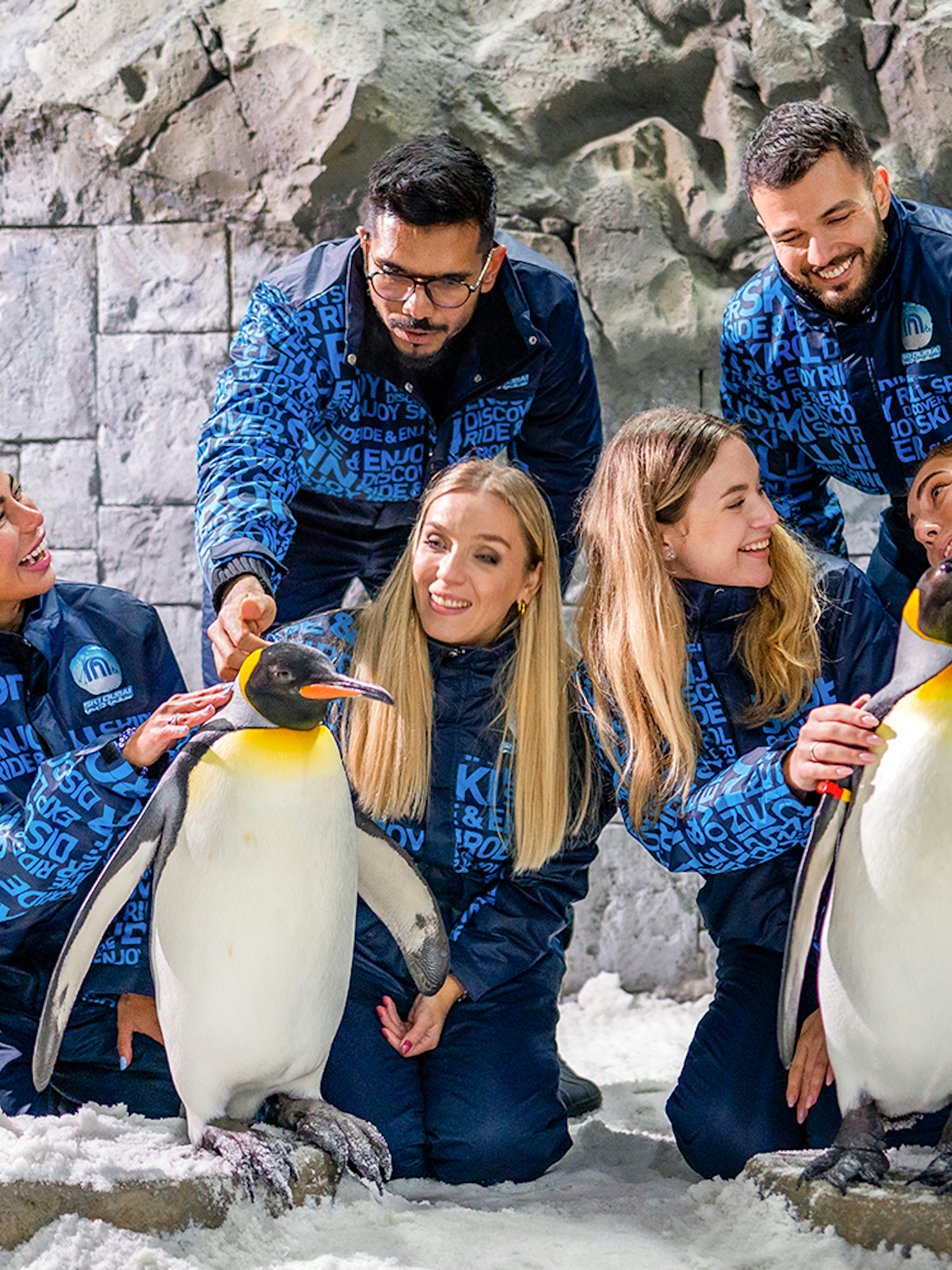 Guests interacting with penguins at Ski Dubai's Penguin Encounter.