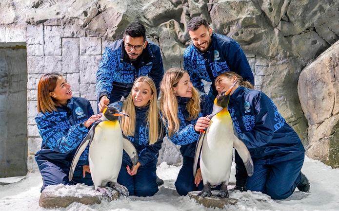 Guests interacting with penguins at Ski Dubai's Penguin Encounter.