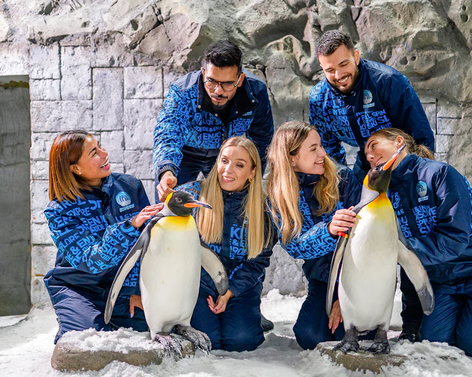 Ski Dubai: Snow Premium Tickets with Penguin Encounter
