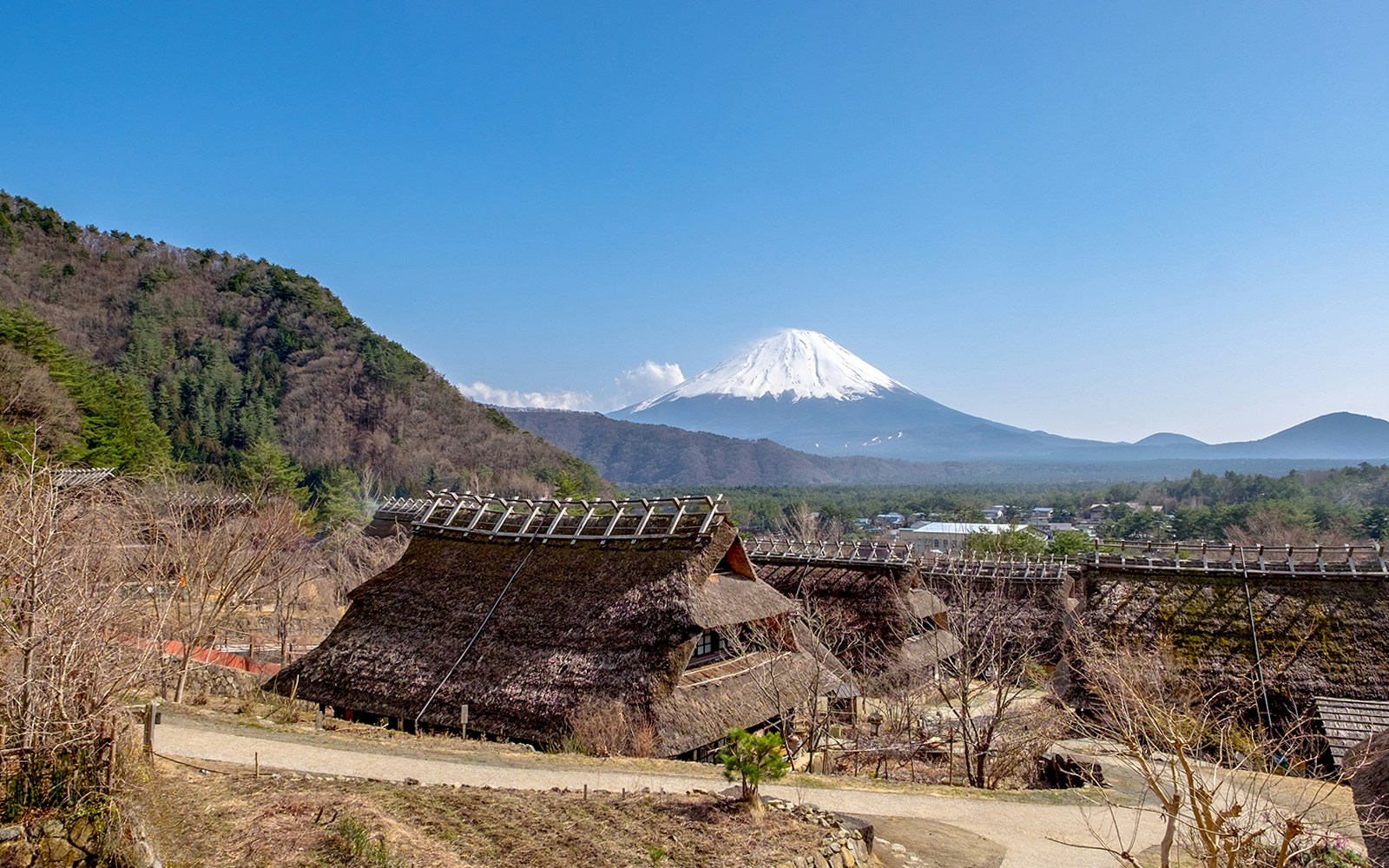 Iyashi-no-sato village with Mt. Fuji in the background, Japan.