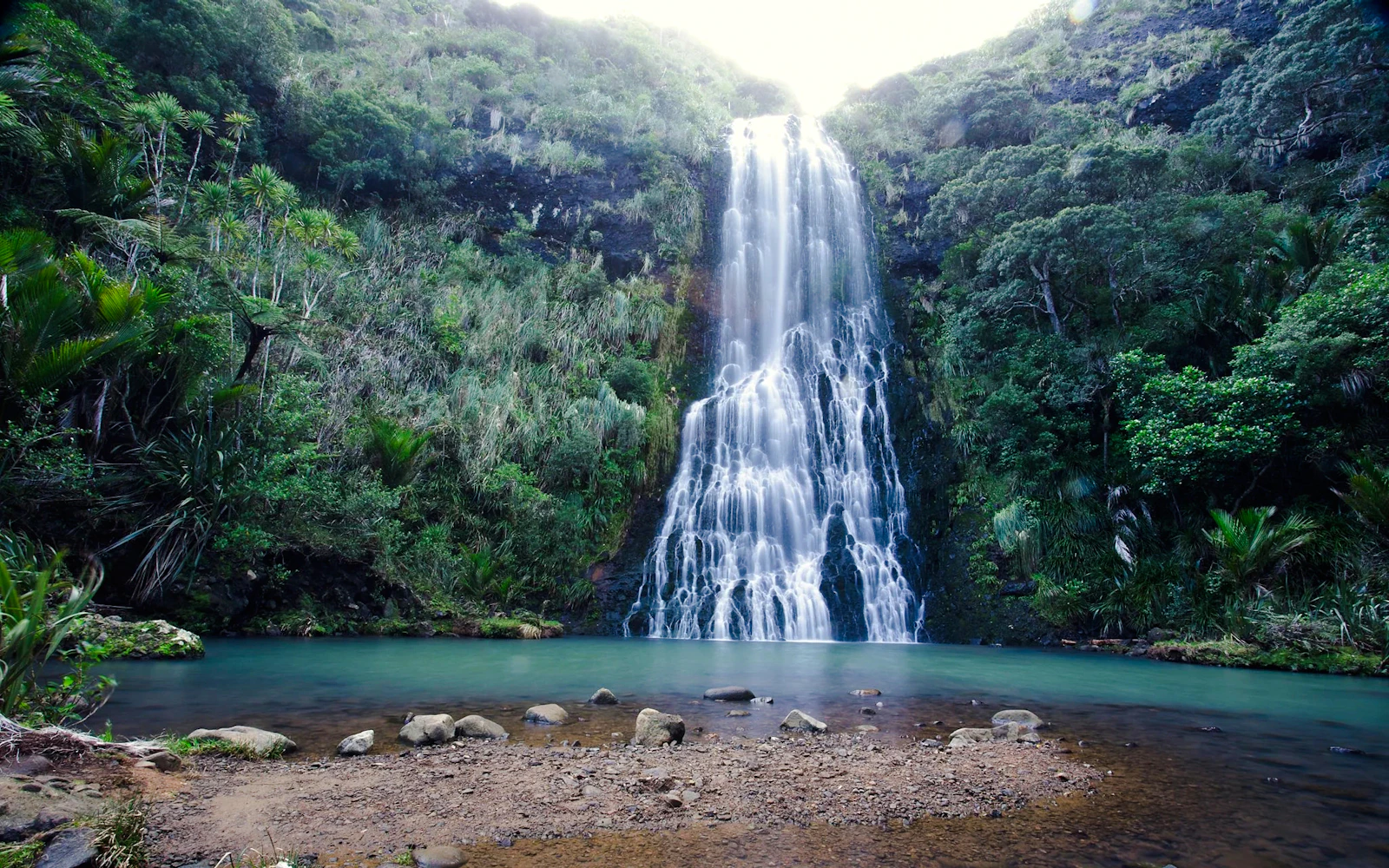 Piha Beach, Rainforest and Mount Eden Private Guided Tour from Auckland Image 5