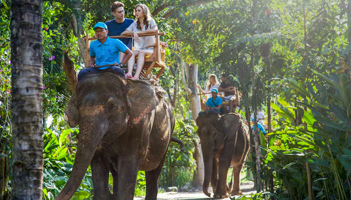 Tourists riding elephants through lush greenery at Bali Zoo, Indonesia.