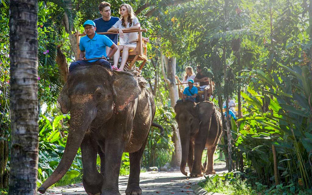 Tourists riding elephants through lush greenery at Bali Zoo, Indonesia.