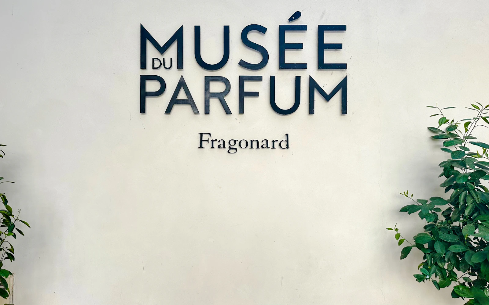 Paris: Macaron Class, Fragonard Perfume Museum Workshop, Galeries Lafayette Fashion Show & Wine Tasting Image 5