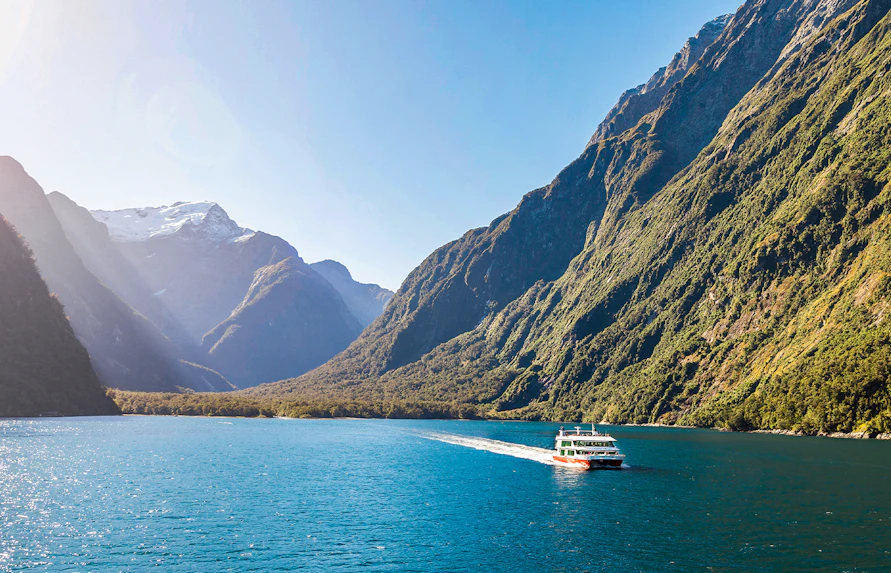 Cruise ship sailing in Harrison Cove, Milford Sound with towering mountains.