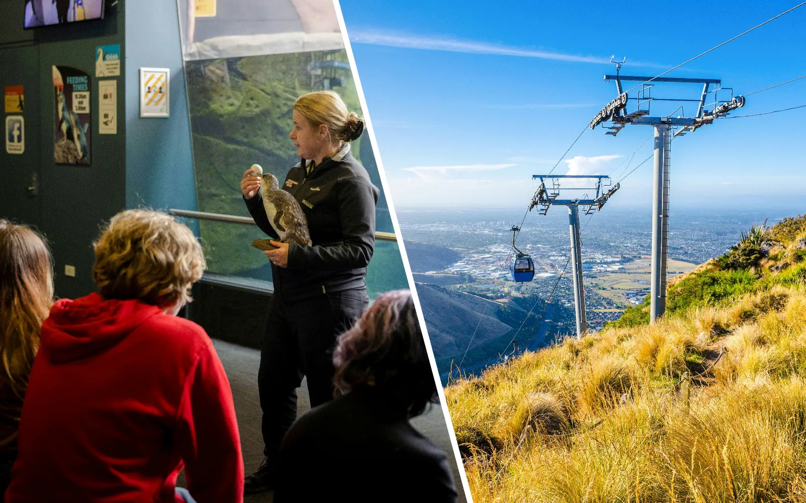 Christchurch Antarctic Adventure and Scenic Tram-Gondola Experience
